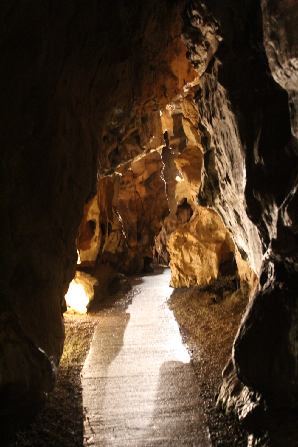 20190829031202_IMG_4212