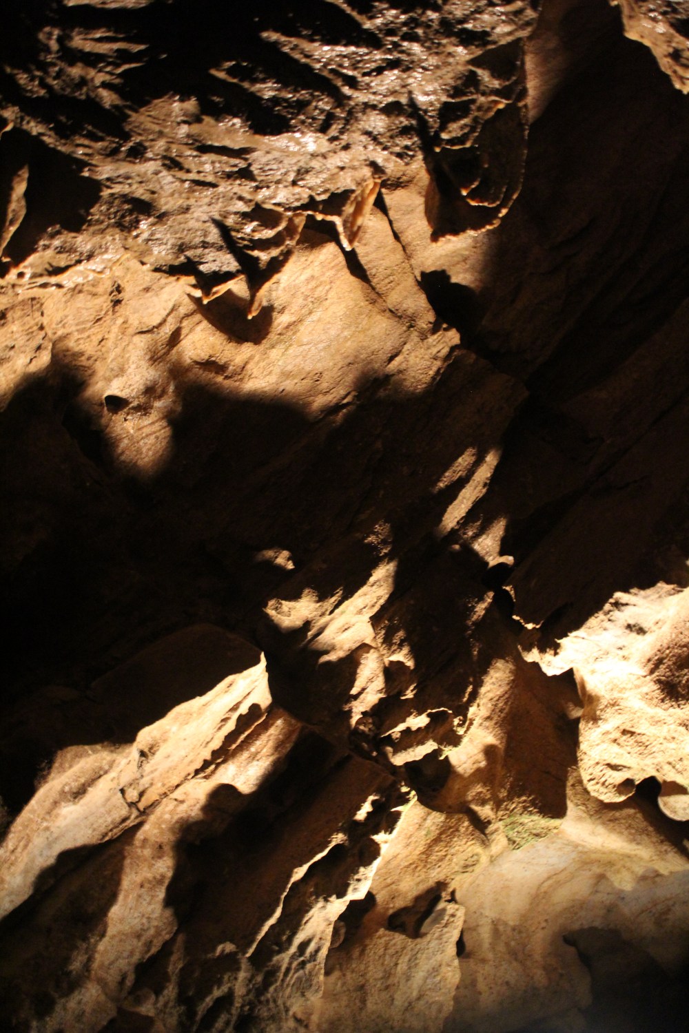 20190829031406_IMG_4215