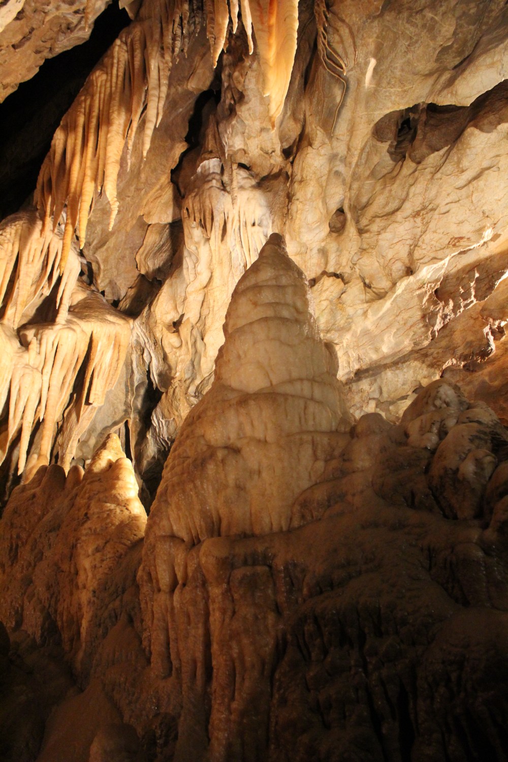 20190829031948_IMG_4219