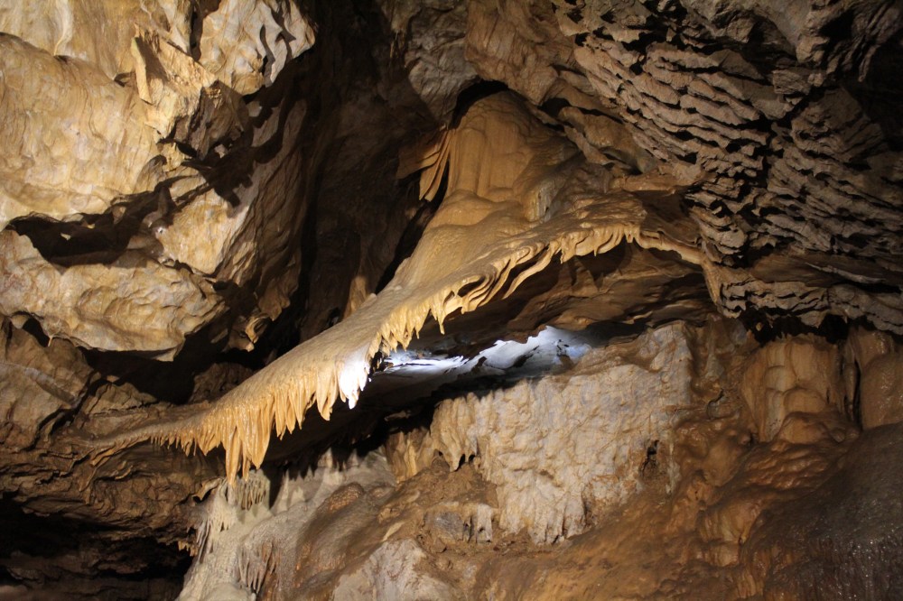 20190829032447_IMG_4222