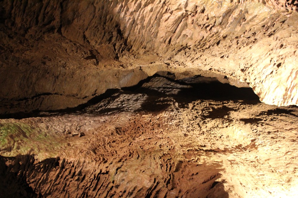 20190829032936_IMG_4226