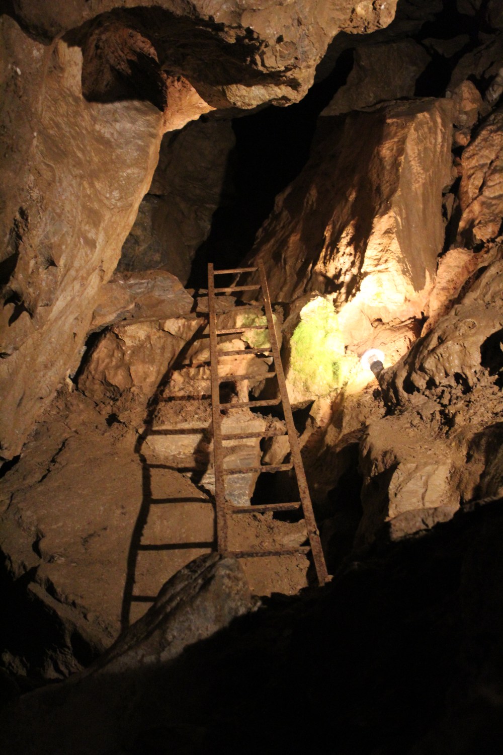 20190829033552_IMG_4231