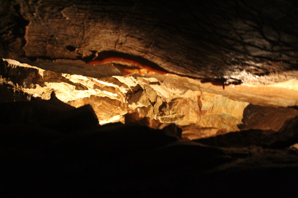 20190829034141_IMG_4238