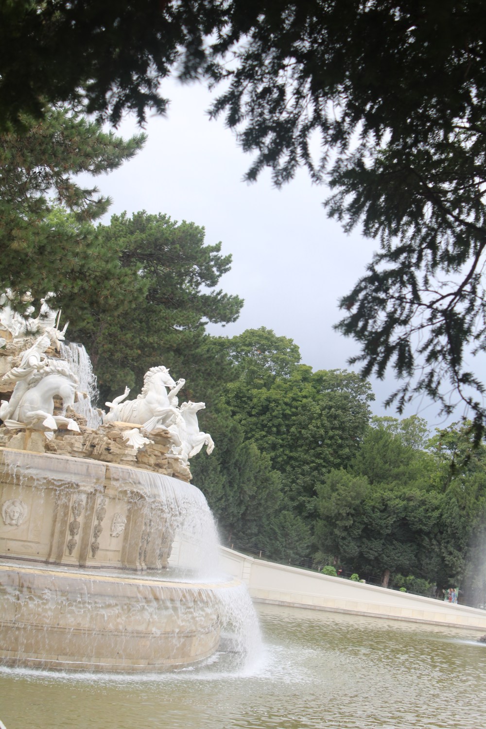 20190902060535_IMG_4257