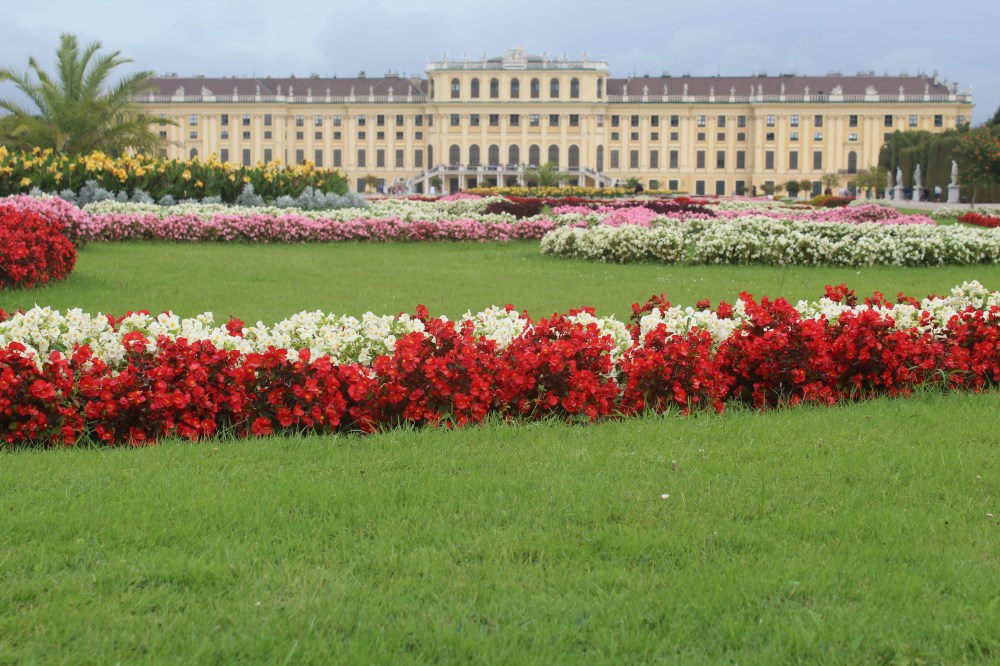 20190902060650_IMG_4258