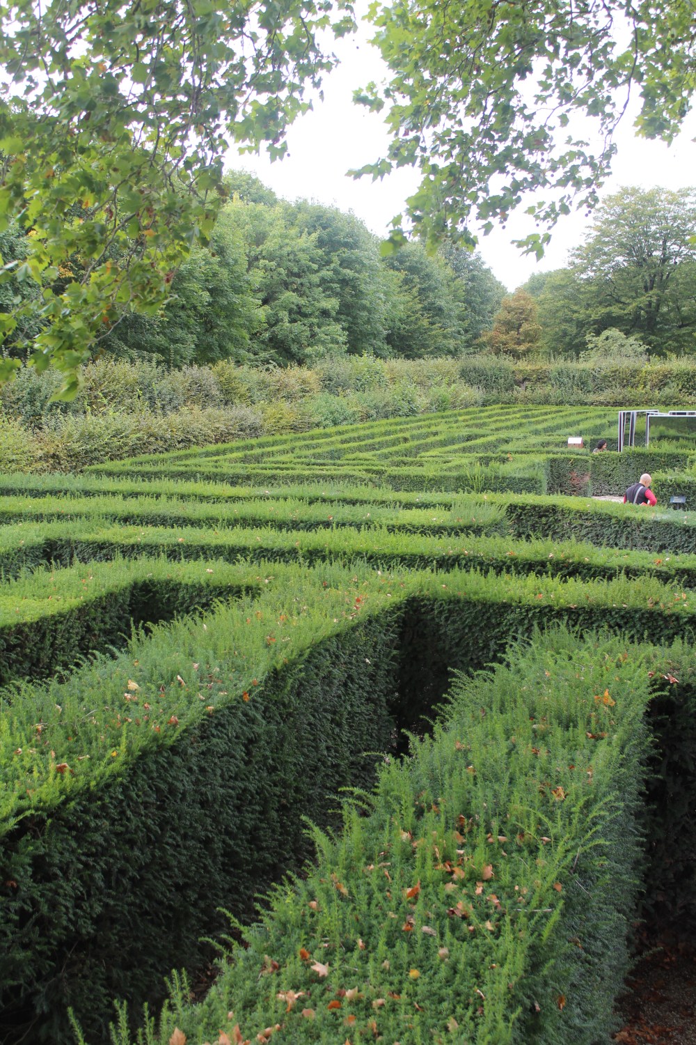 20190902062215_IMG_4264