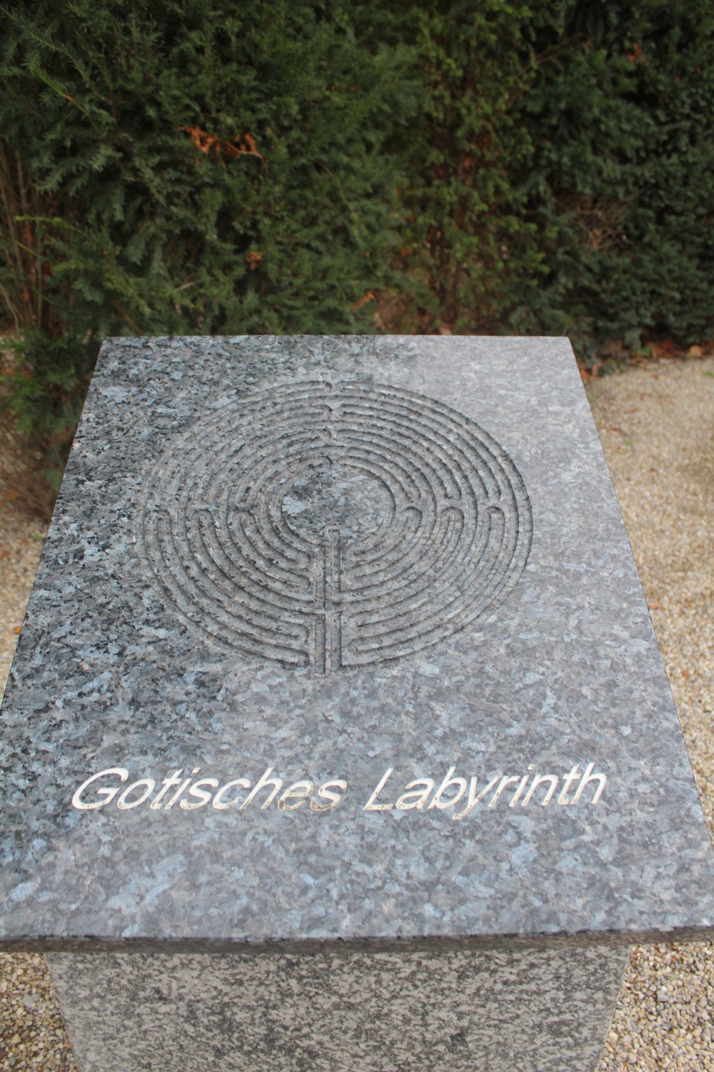 20190902063247_IMG_4272