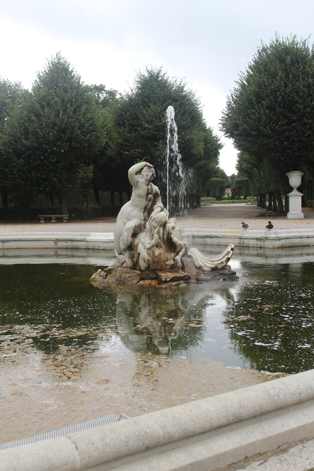 20190902064222_IMG_4275