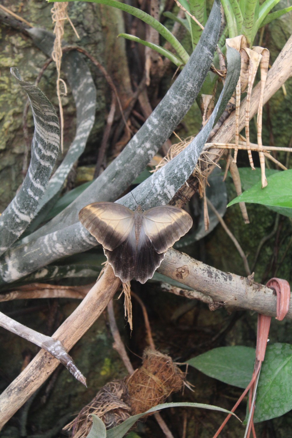 20190903052317_IMG_4375