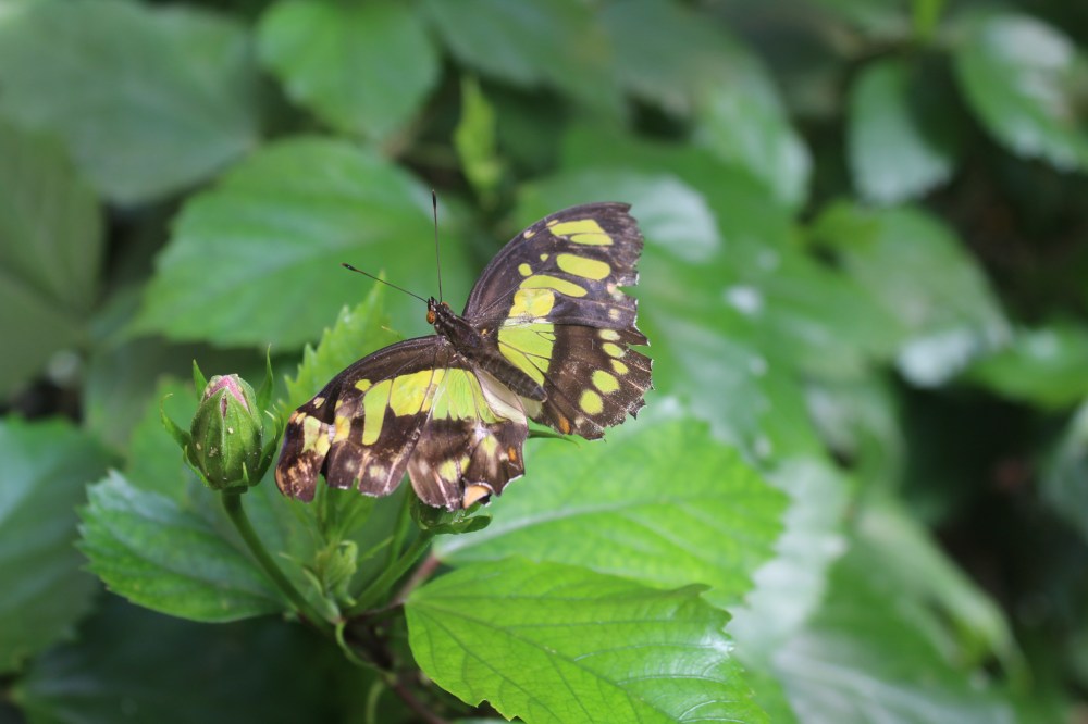 20190903053651_IMG_4381