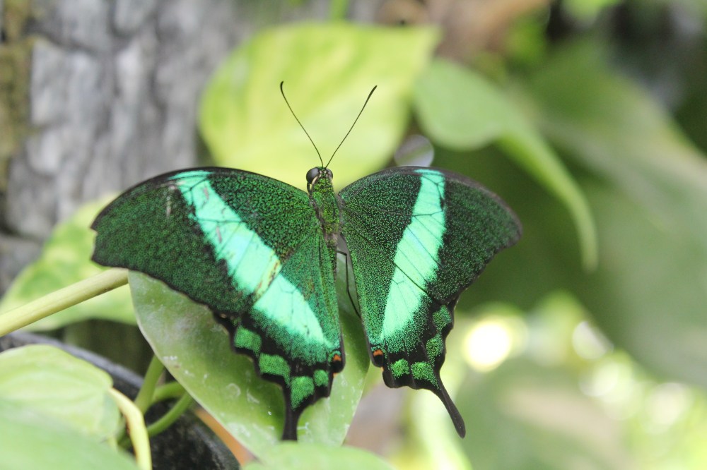 20190903054327_IMG_4389