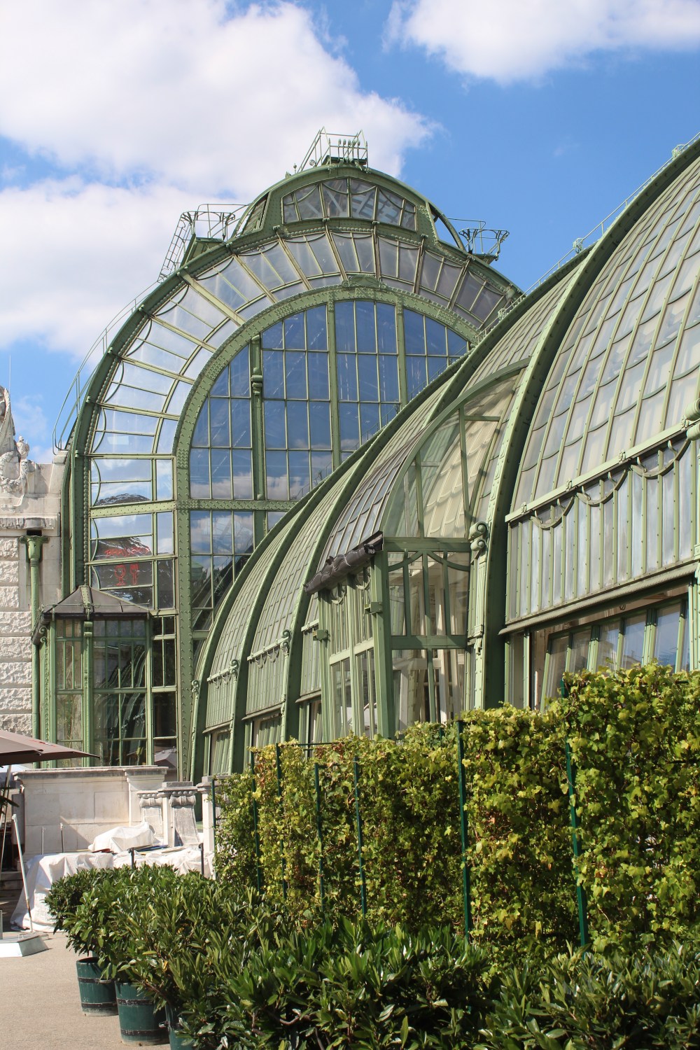 20190903054948_IMG_4395