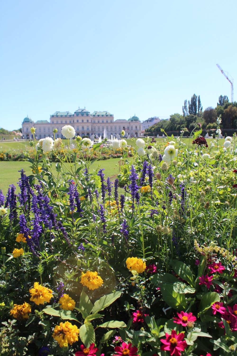 20190904050336_IMG_4426