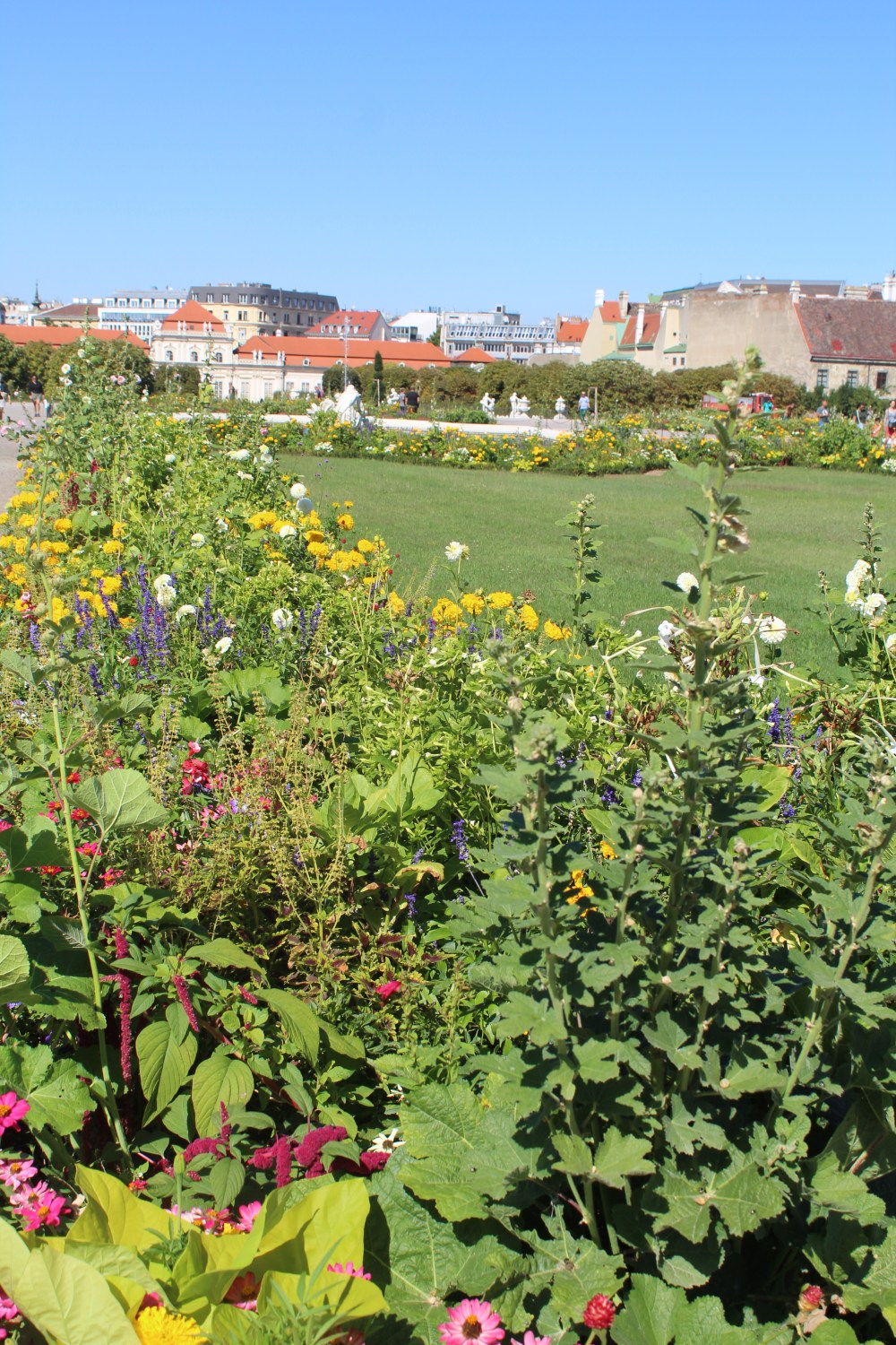 20190904051127_IMG_4435