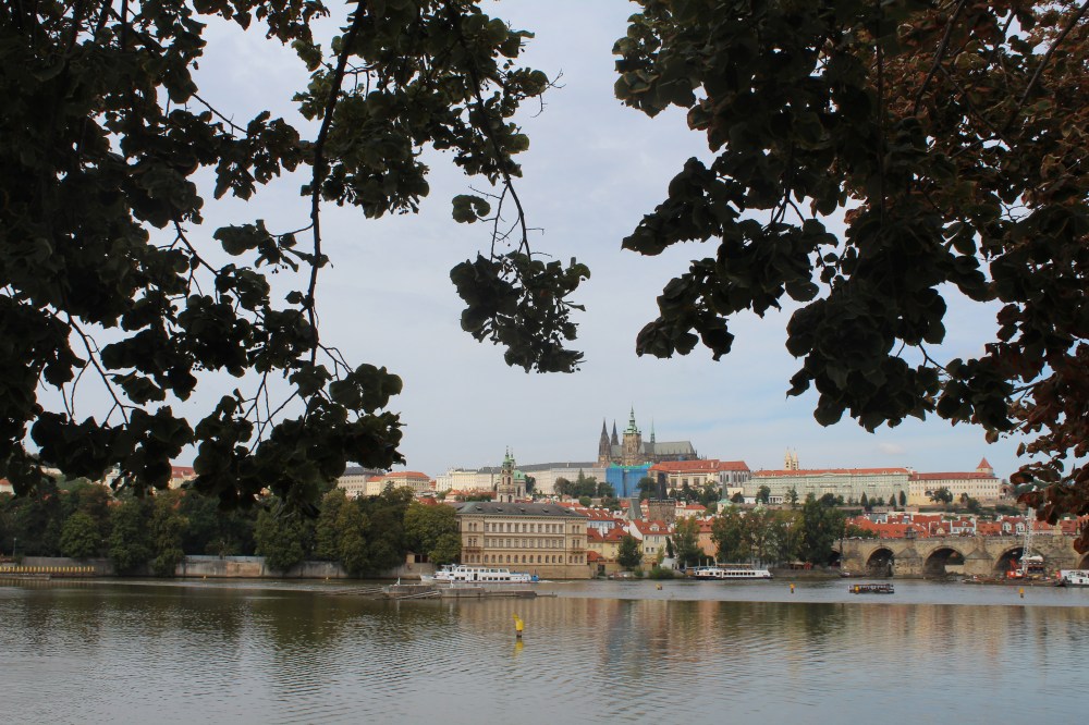 20190908022919_IMG_4553