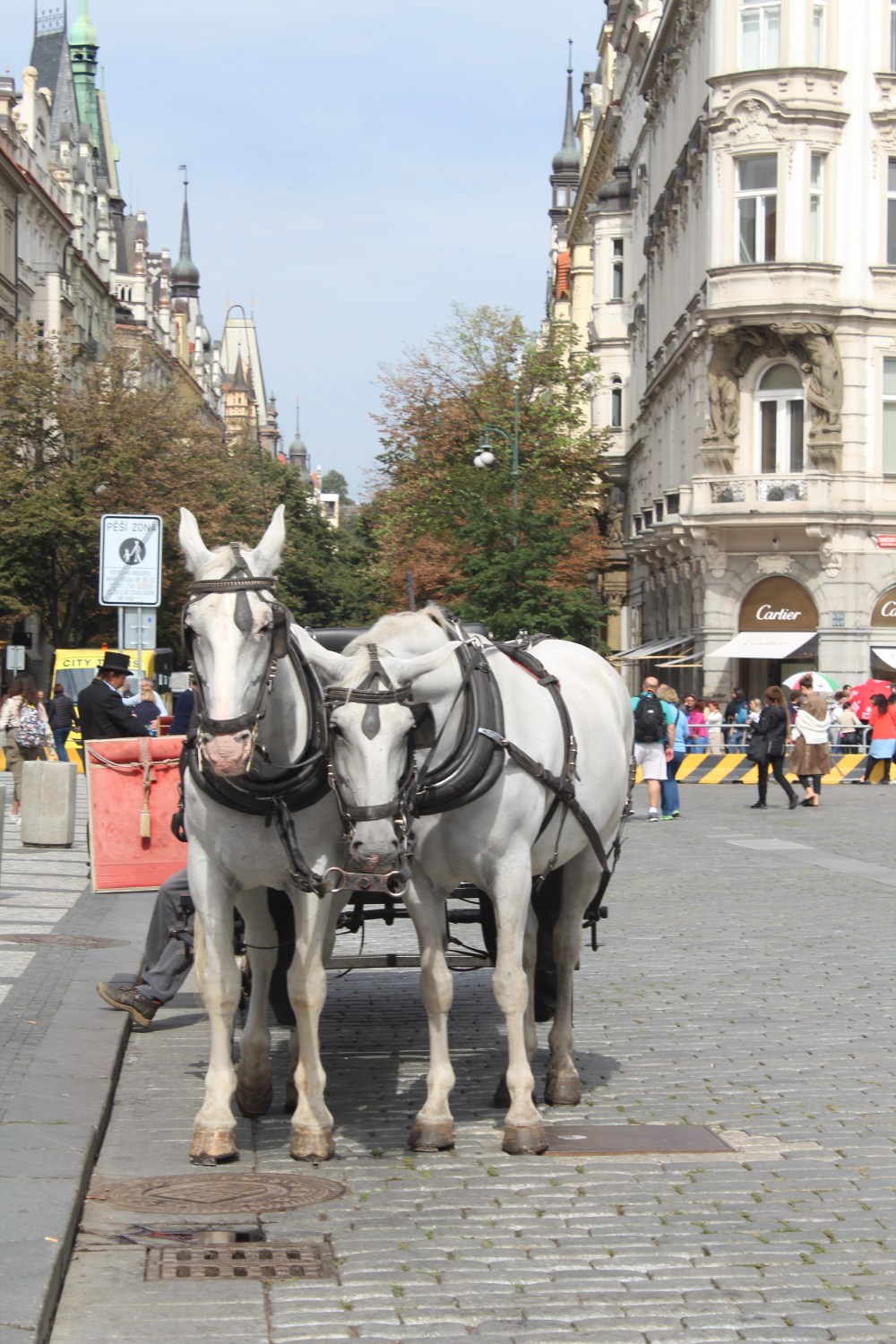 20190908030149_IMG_4571