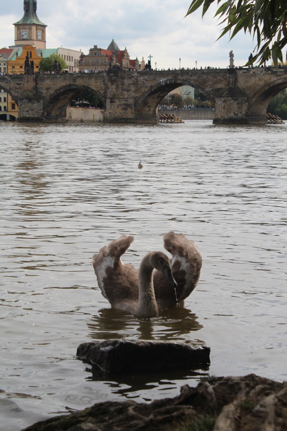 20190908044901_IMG_4627