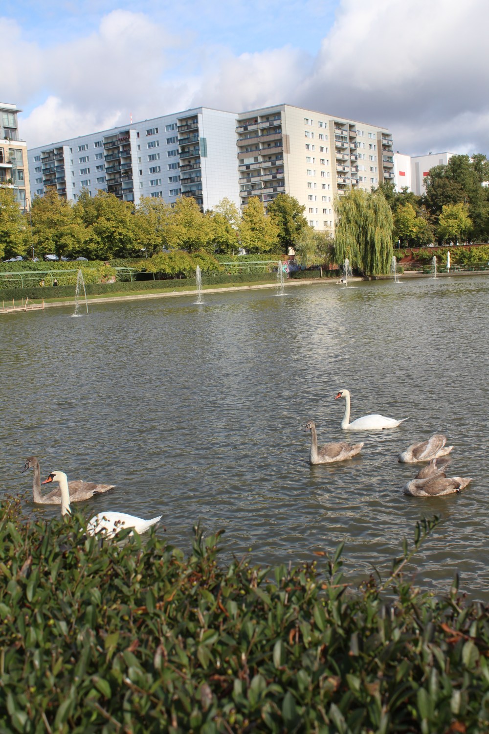 20190910013040_IMG_4668