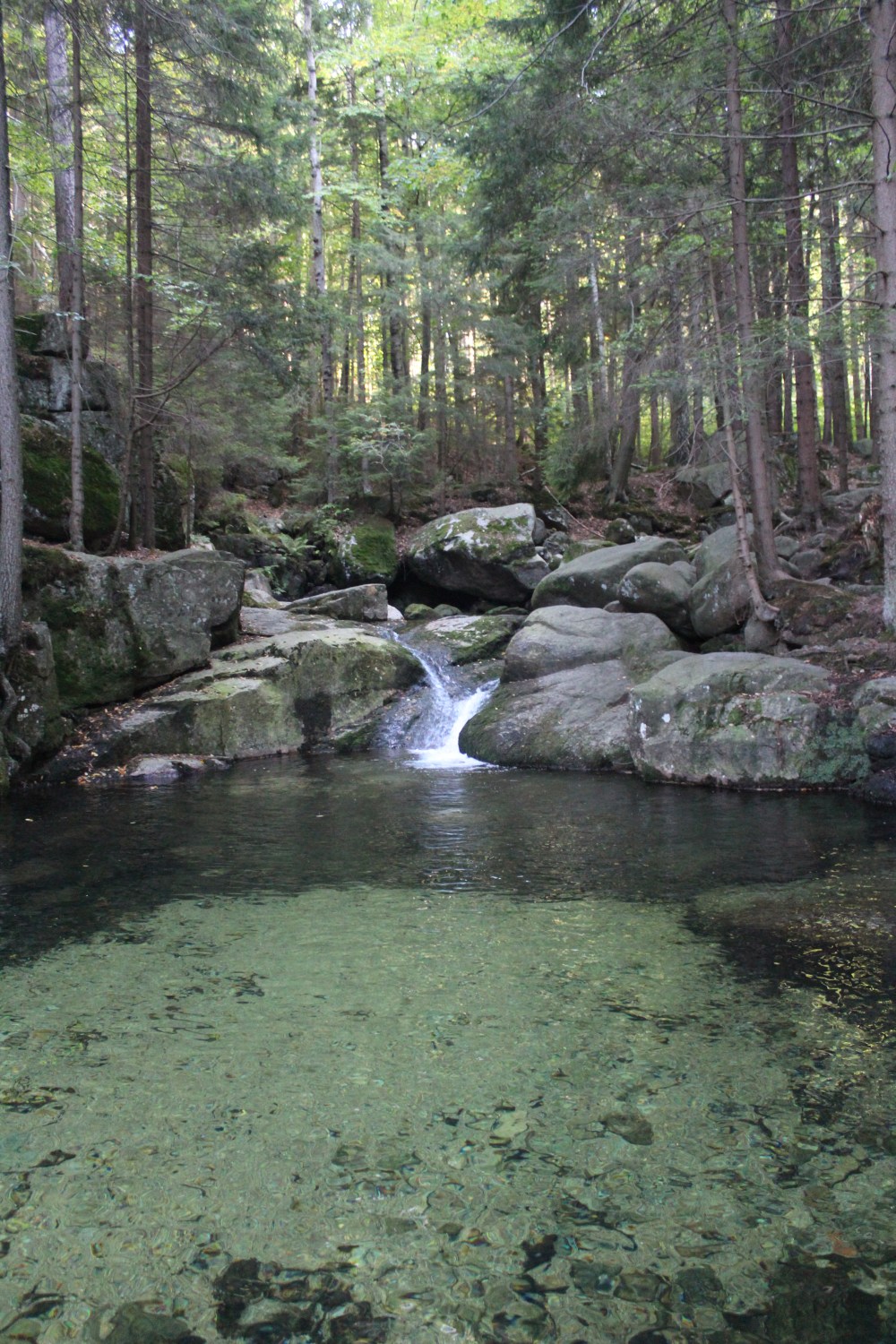 20190917074237_IMG_4706