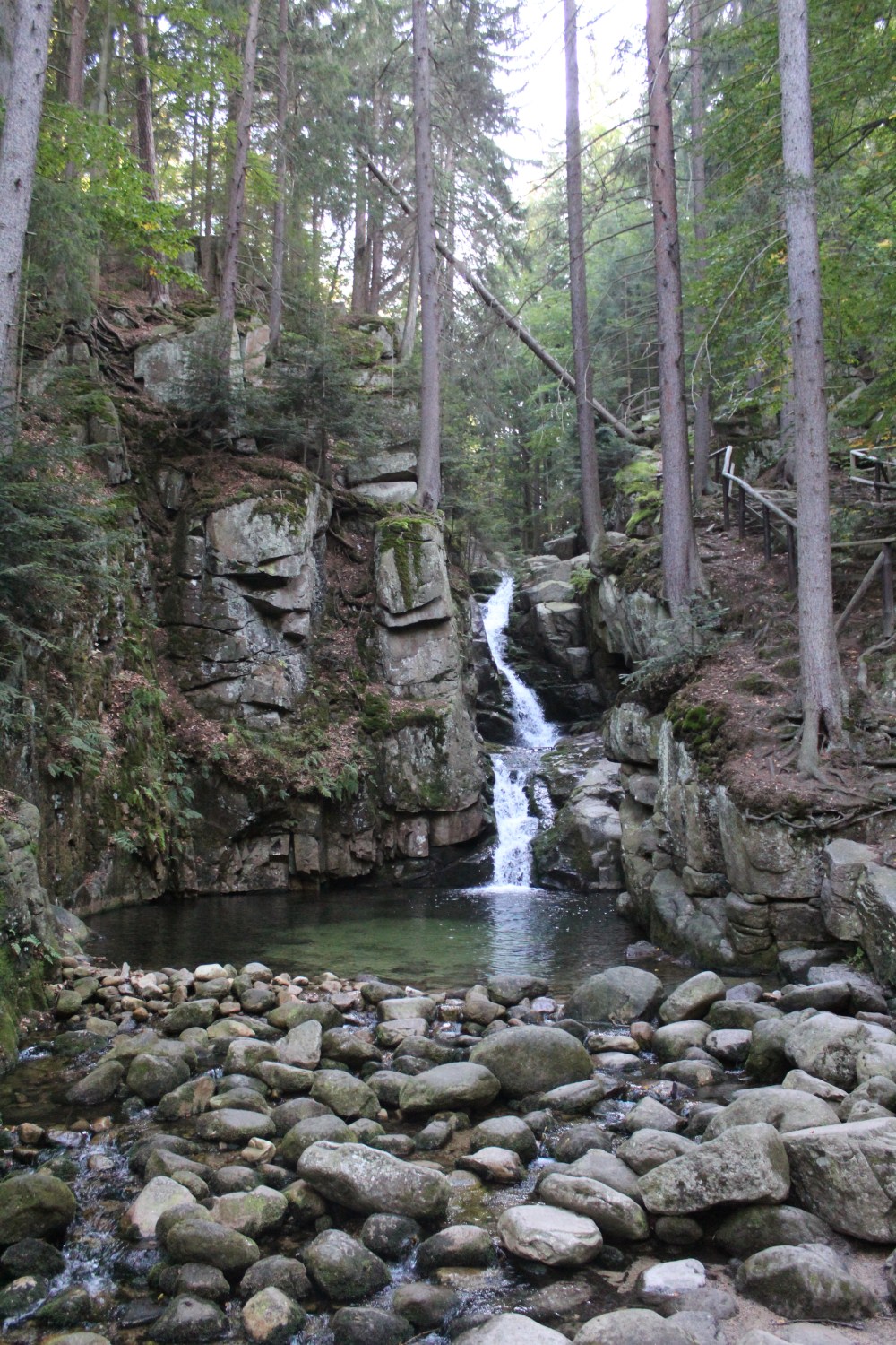 20190917074708_IMG_4708