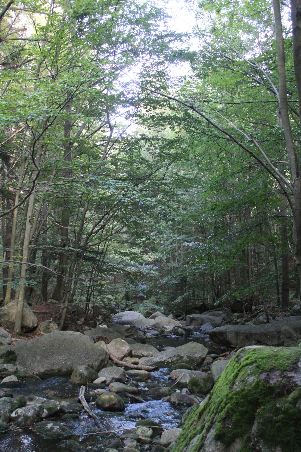 20190917075055_IMG_4712