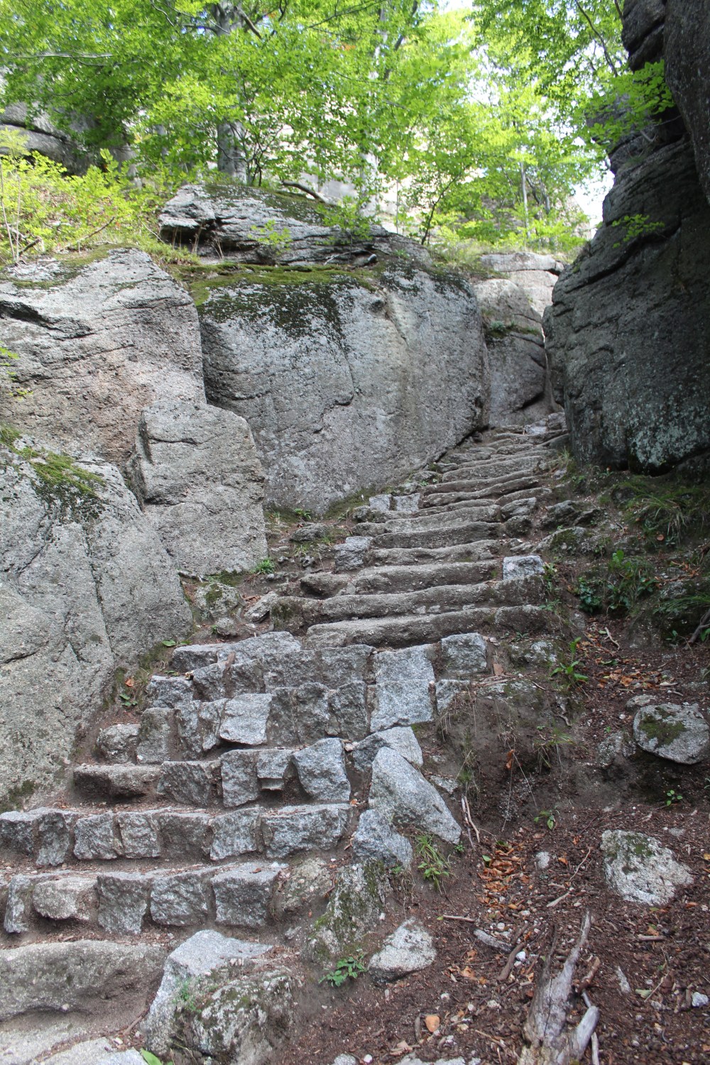 20190918031626_IMG_4717