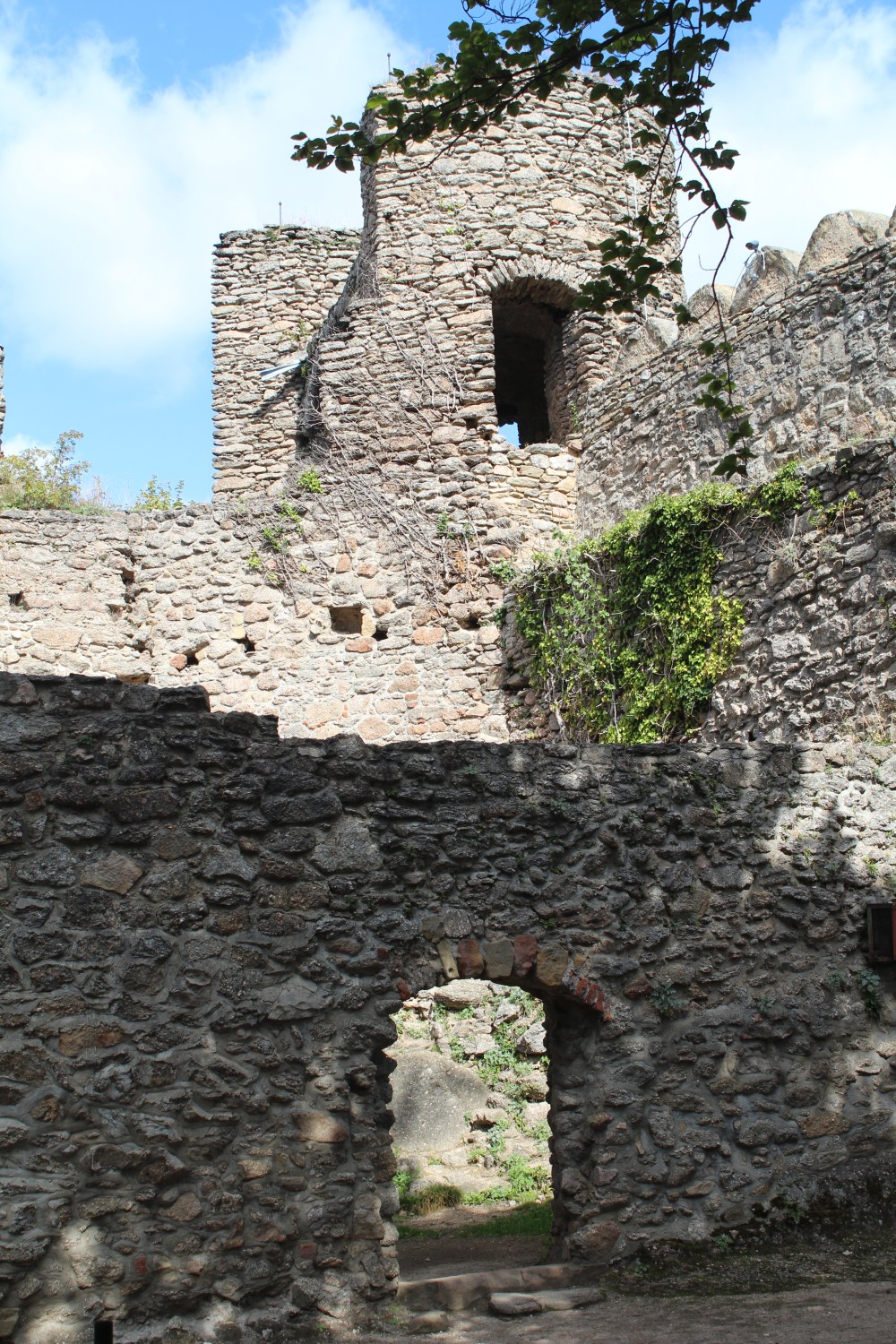 20190918034327_IMG_4742