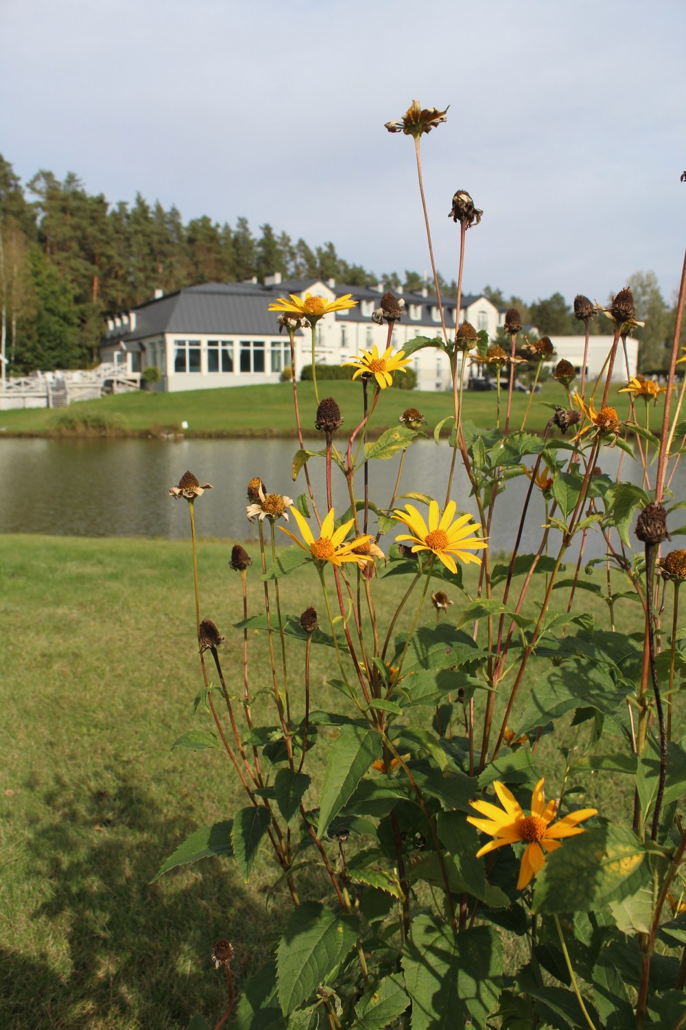 20190925044115_IMG_4765