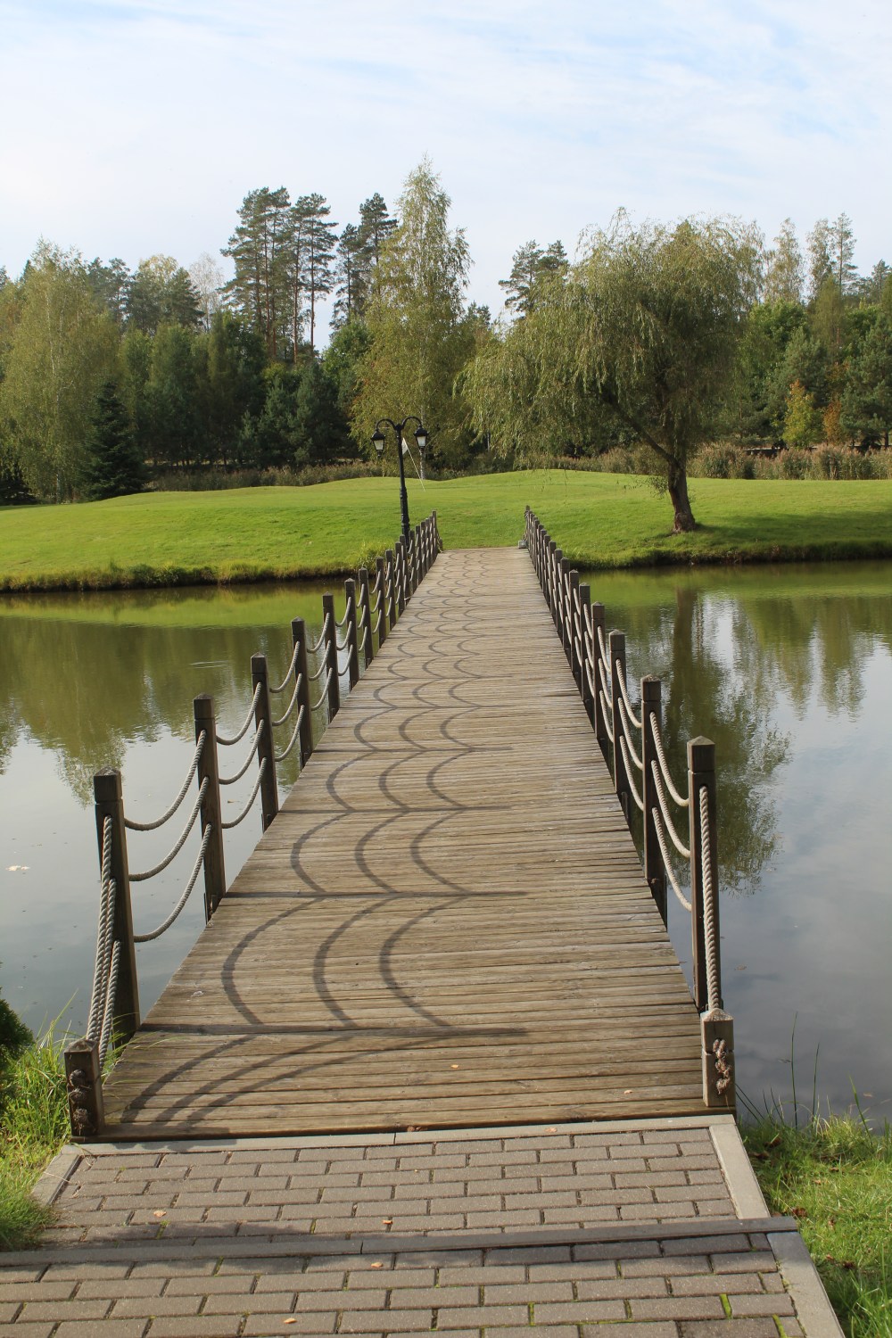 20190925044947_IMG_4773